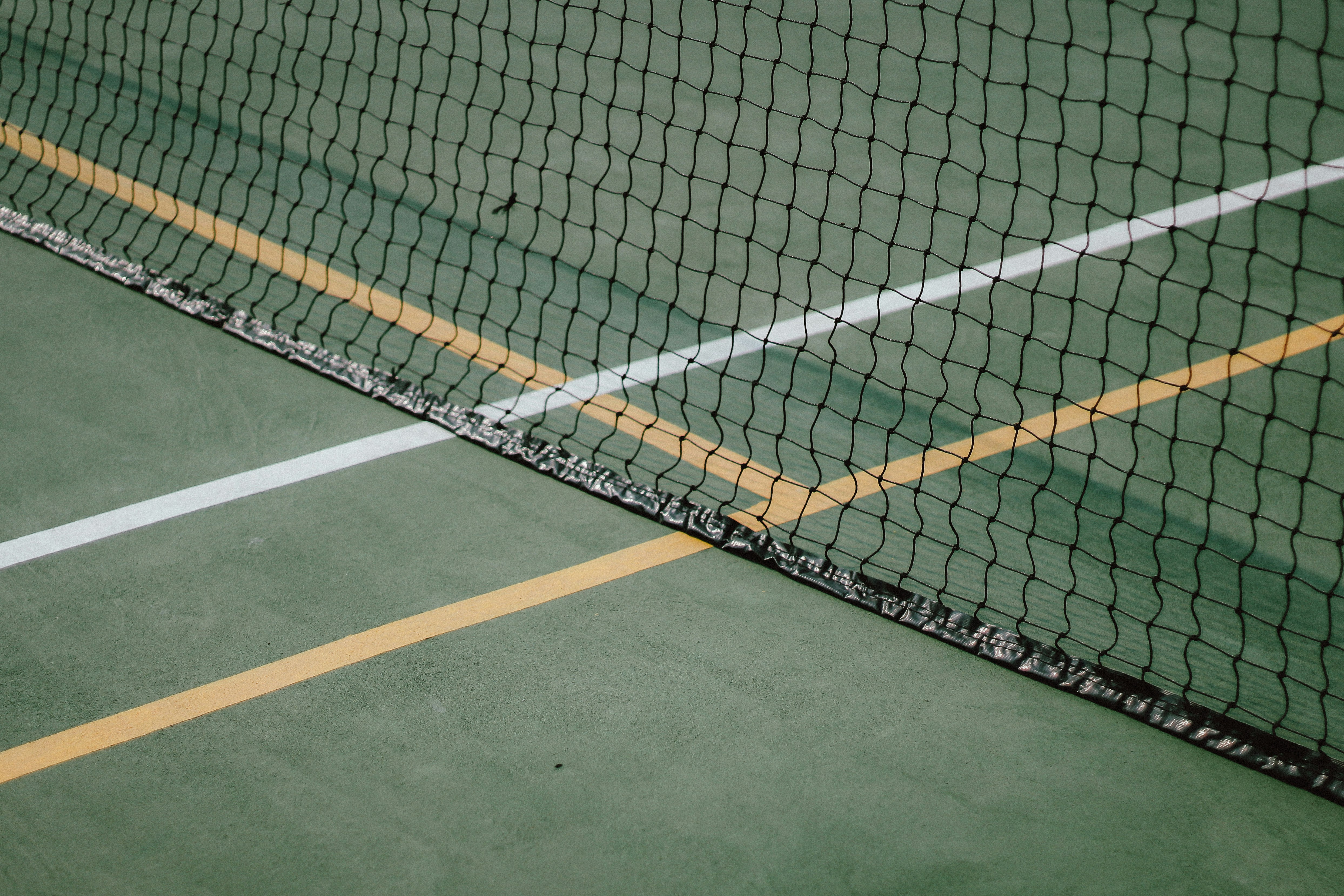 black and white sports net